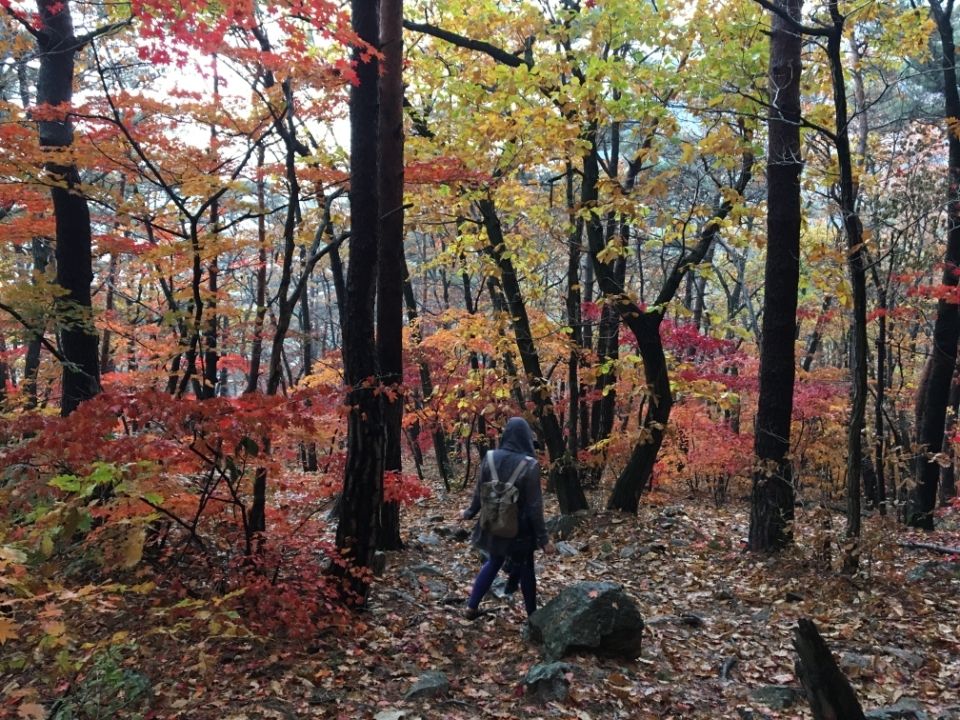 Photo for blog post 용문산 식당 (Yangmunsan Temple)