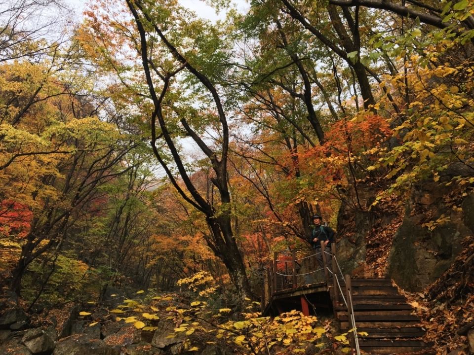 Photo for blog post 용문산 식당 (Yangmunsan Temple)