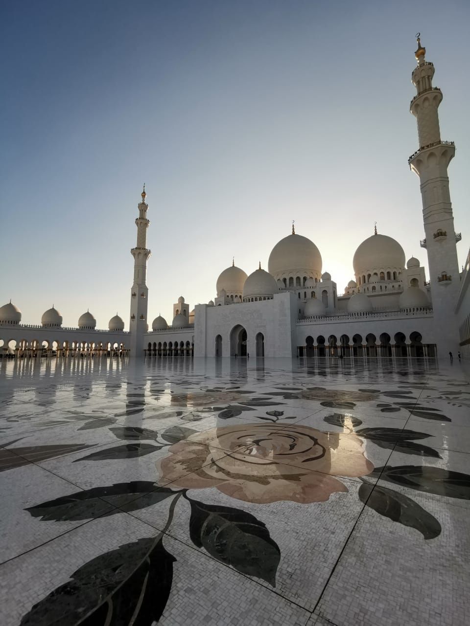 Photo for blog post AESHM in Dubai 