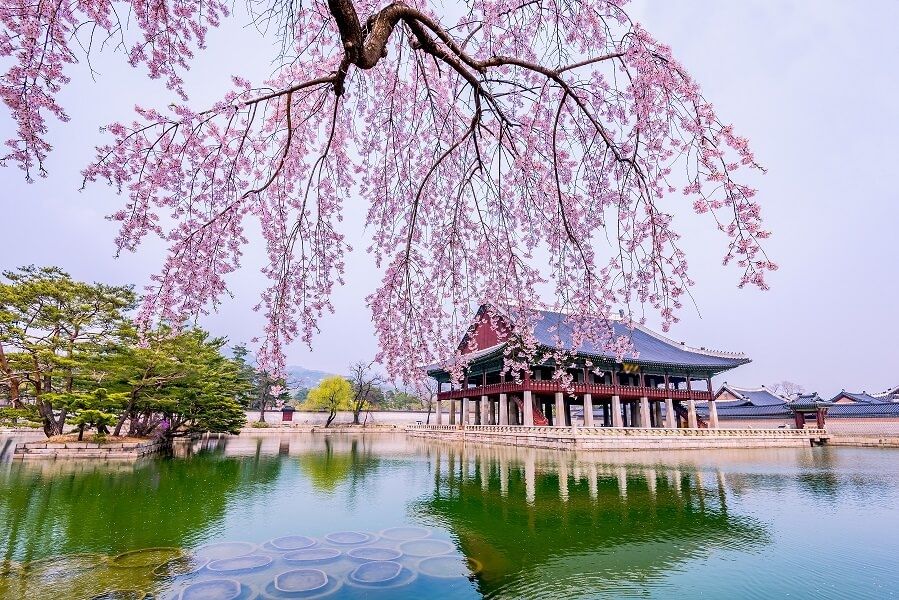 Photo for blog post 5 Must-See Sites in Seoul, South Korea