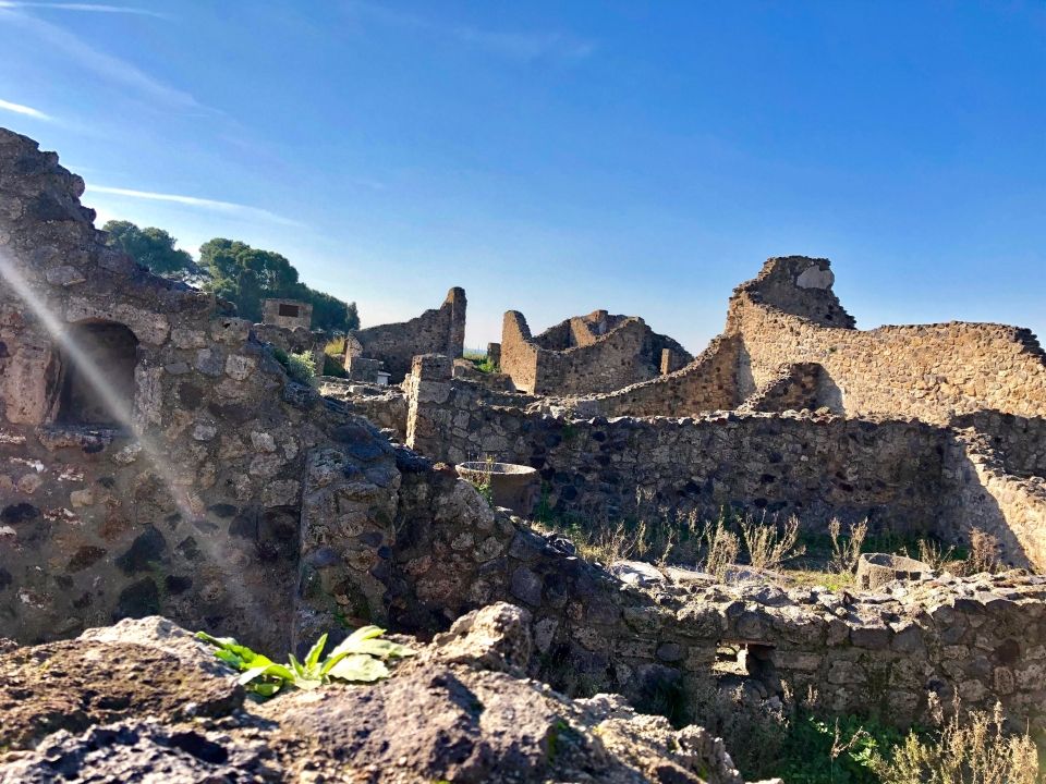 Photo for blog post Season’s Greetings from Italy Part 2: Napoli and Pompeii