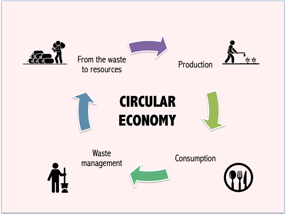 Photo for blog post Circular economies: Lessons from Monteverde