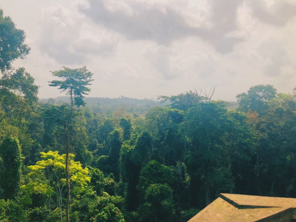 Photo for blog post Excursion #1: Slave River, Cape Coast Castle, and Kakum National Park