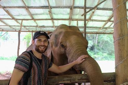 Photo for blog post Wildlife in Thailand