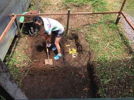 Photo for blog post Building a dry composting toilet