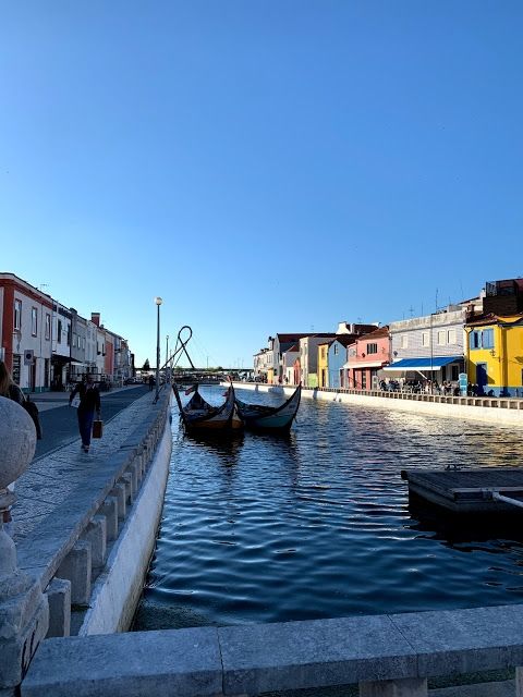 Photo for blog post The Venice of Portugal