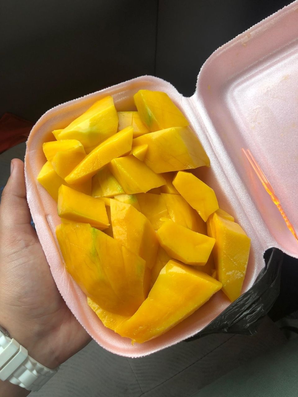 Photo for blog post Making Moves and Munching on Mango