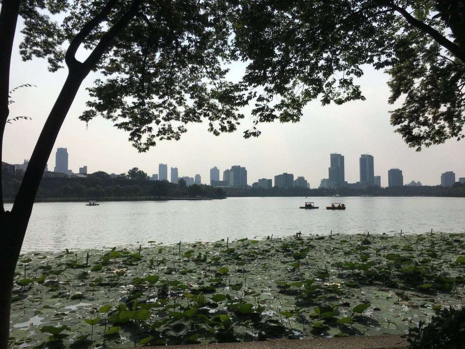 Photo for blog post Exploring Nanjing: Jiming Temple, Nanjing City Wall, and Xuanwu Lake