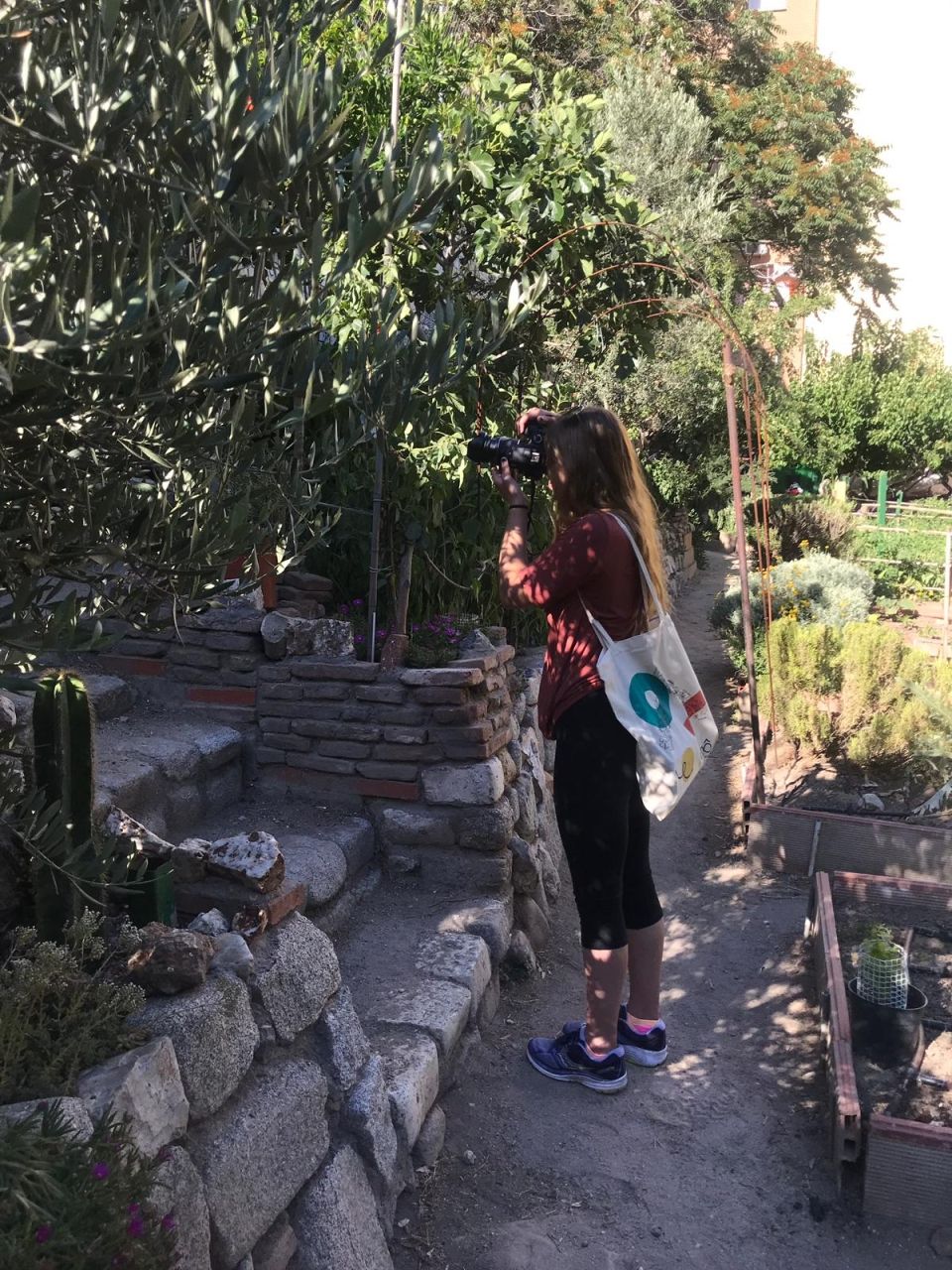 Photo for blog post First Days in Exploring Madrid Through the Arts