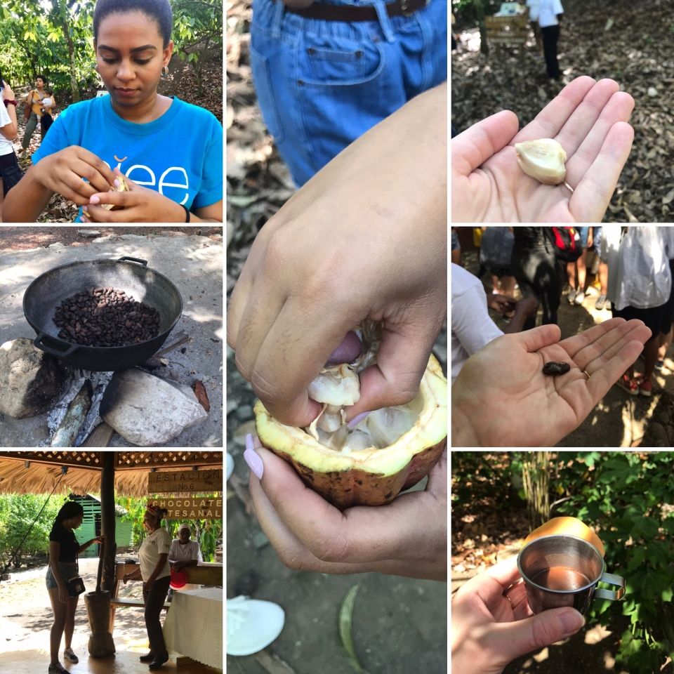 Photo for blog post Paseo a finca y playa -- Trip to a farm and beach 