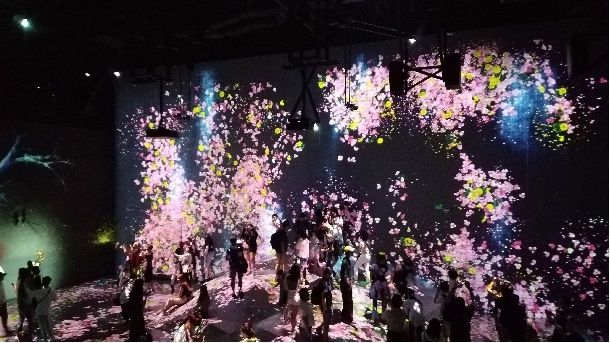 Photo for blog post The amazing light museum: teamLab Borderless