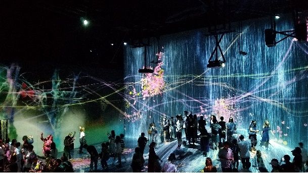 Photo for blog post The amazing light museum: teamLab Borderless