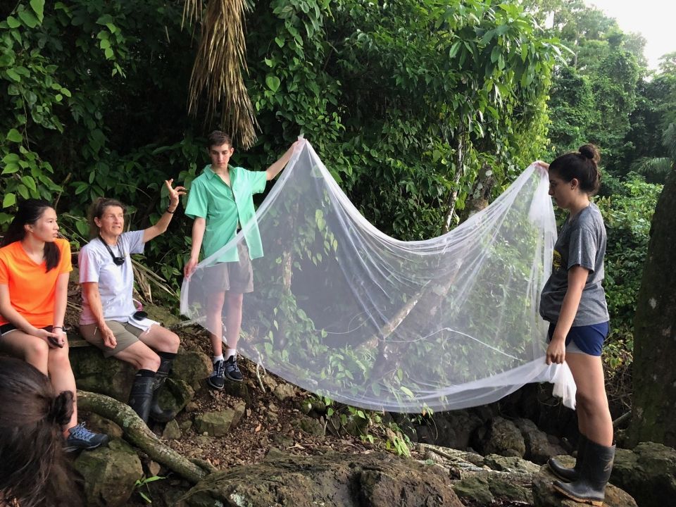 Photo for blog post Bat Catching 101