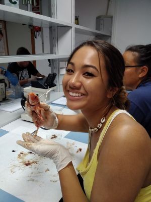 Photo for blog post Plastic Pollution and Anatomy Lab 