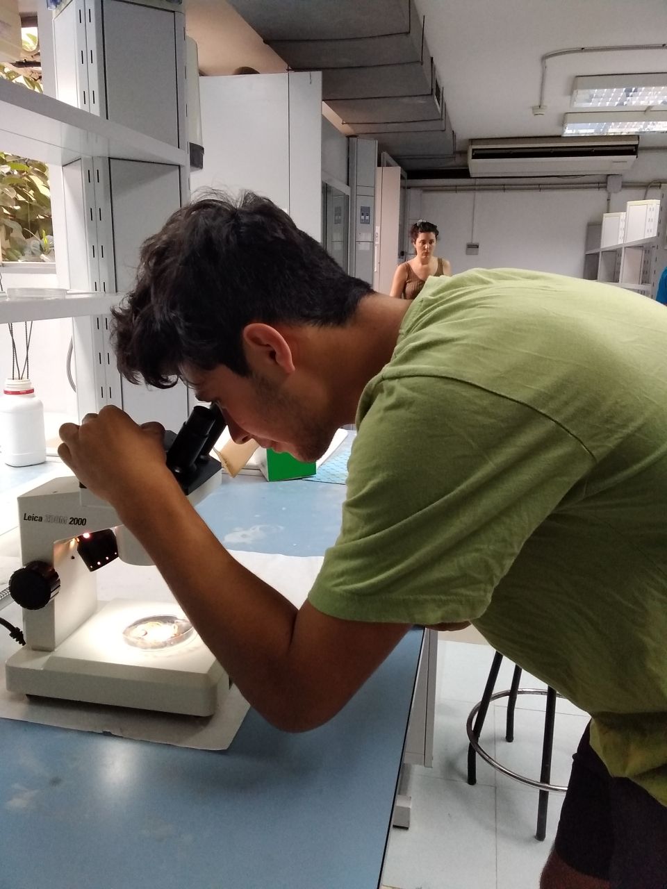 Photo for blog post Plastic Pollution and Anatomy Lab 