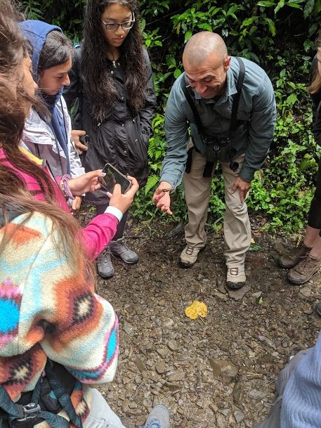 Photo for blog post Last Stop: Monteverde