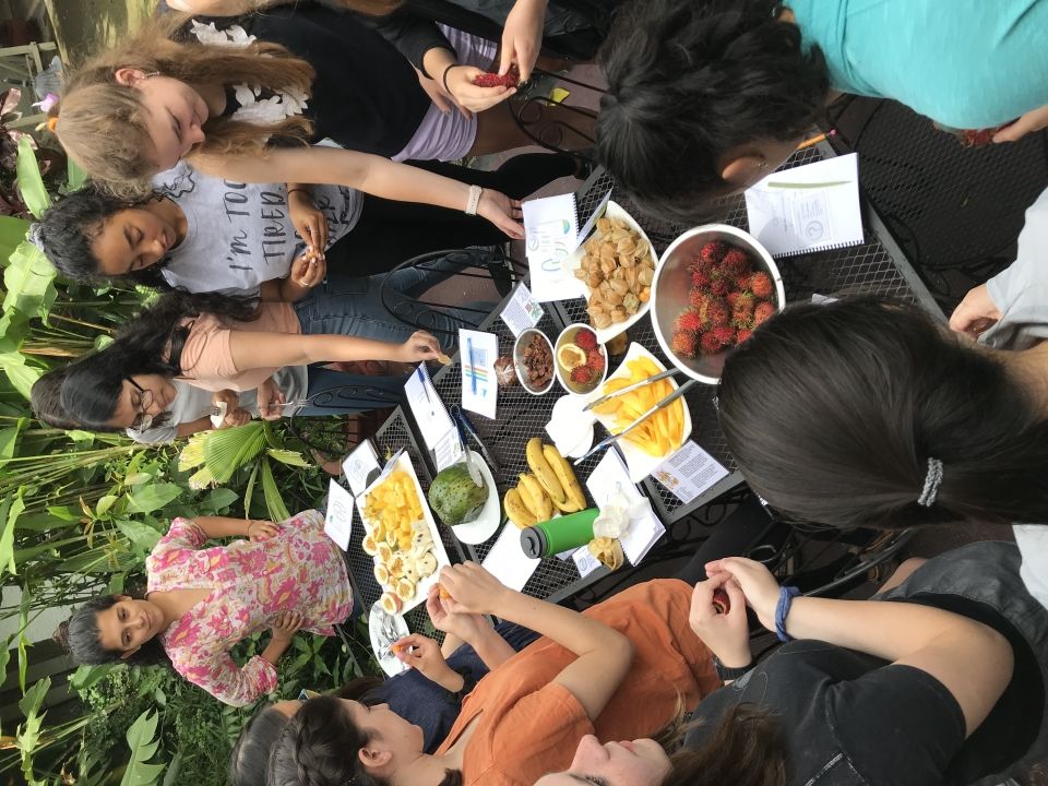 Taxonomy Picnic