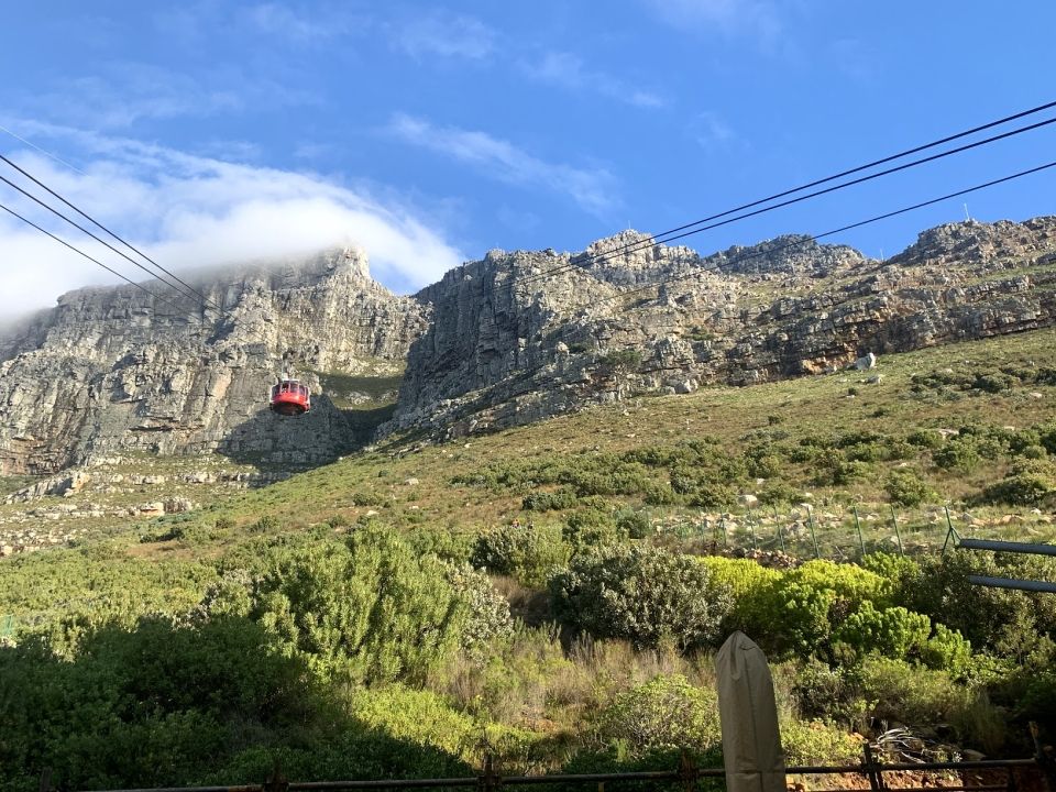 Photo for blog post A Wonder Filled Day on Table Mountain