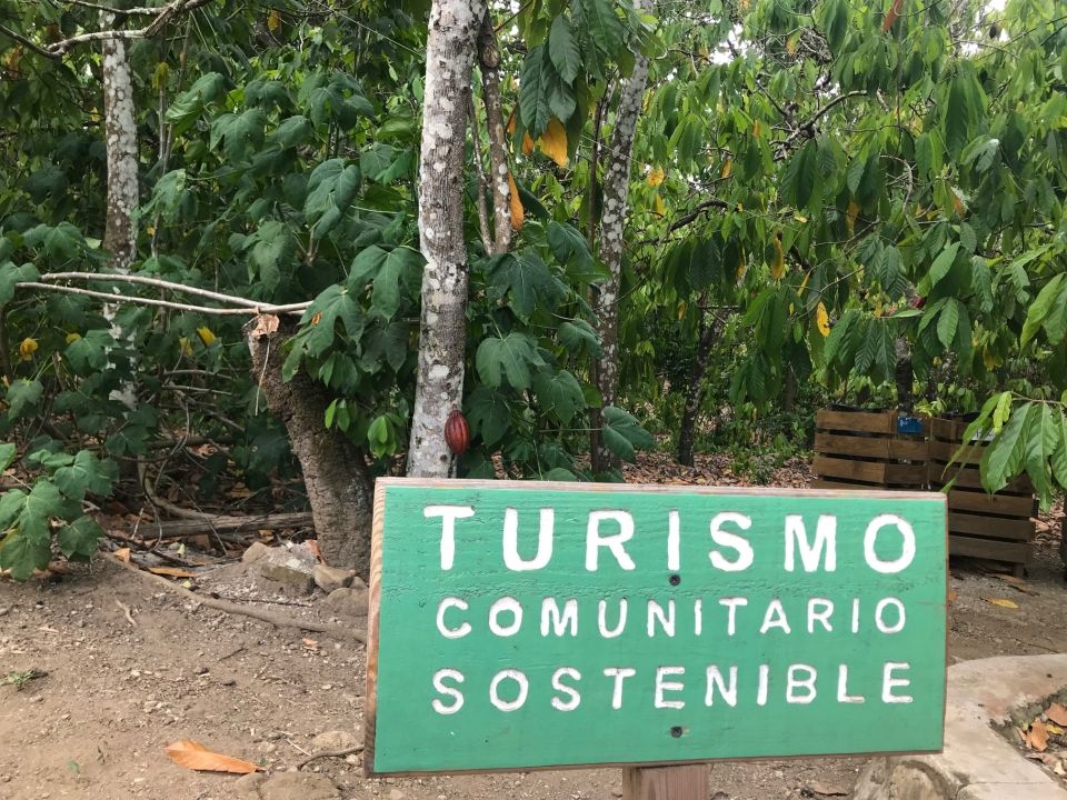 Photo for blog post Paseo a finca y playa -- Trip to a farm and beach 