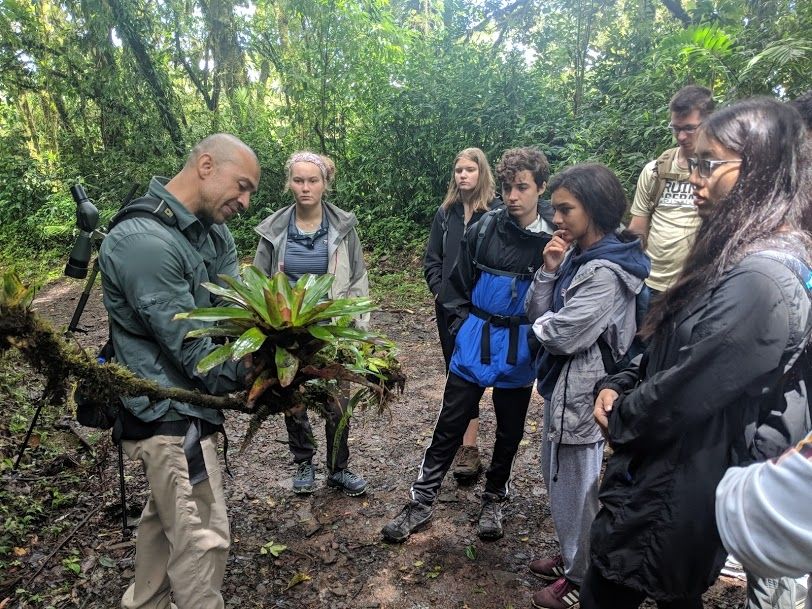 Photo for blog post Last Stop: Monteverde