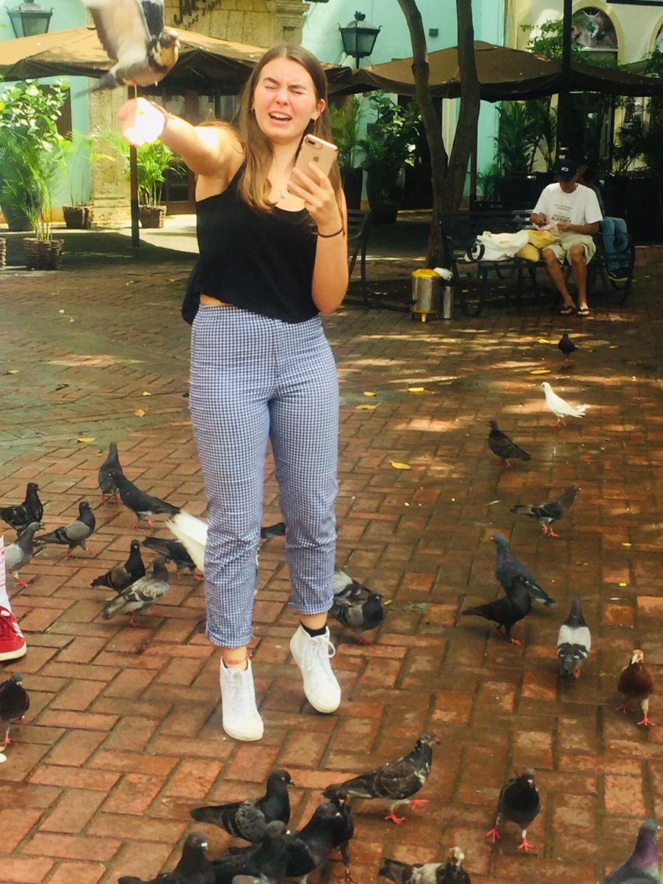 Photo for blog post Santo Domingo Top 10 Things to do in the Colonial City