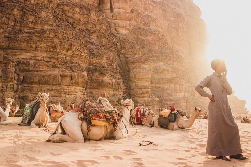 Photo for blog post Experiencing Wadi Rum on the Back of a Camel and 4x4