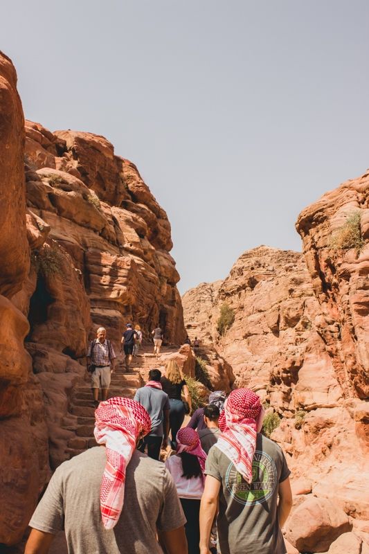 Photo for blog post Experiencing Wadi Rum on the Back of a Camel and 4x4