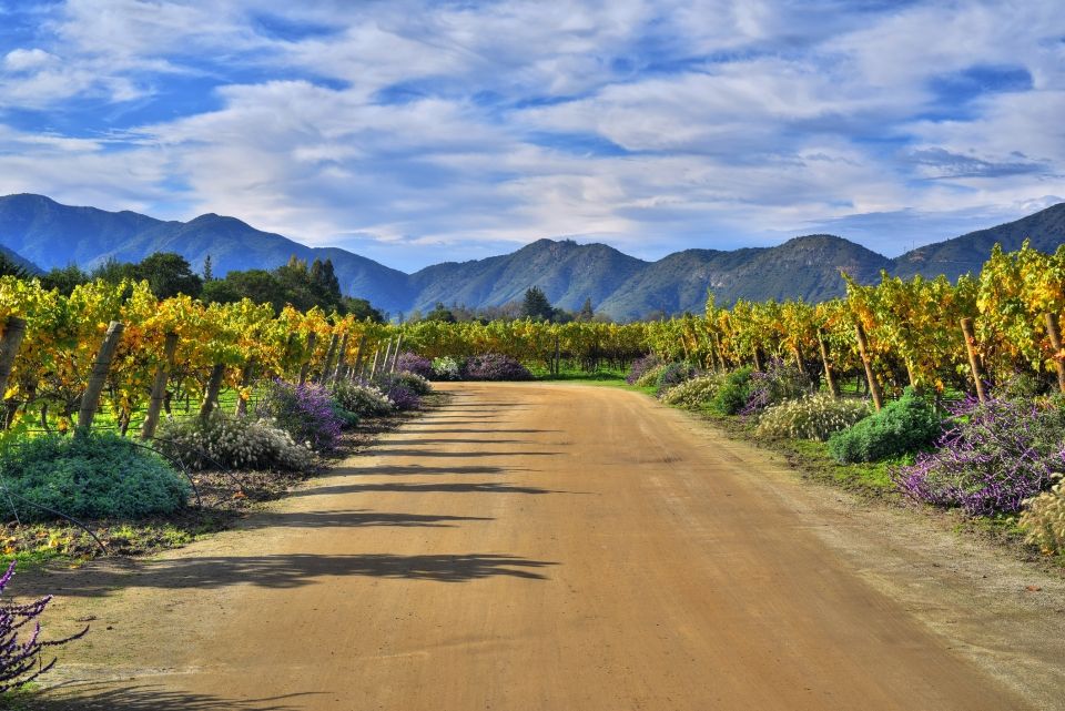 Photo for blog post What to Expect When Teaching English in Chile