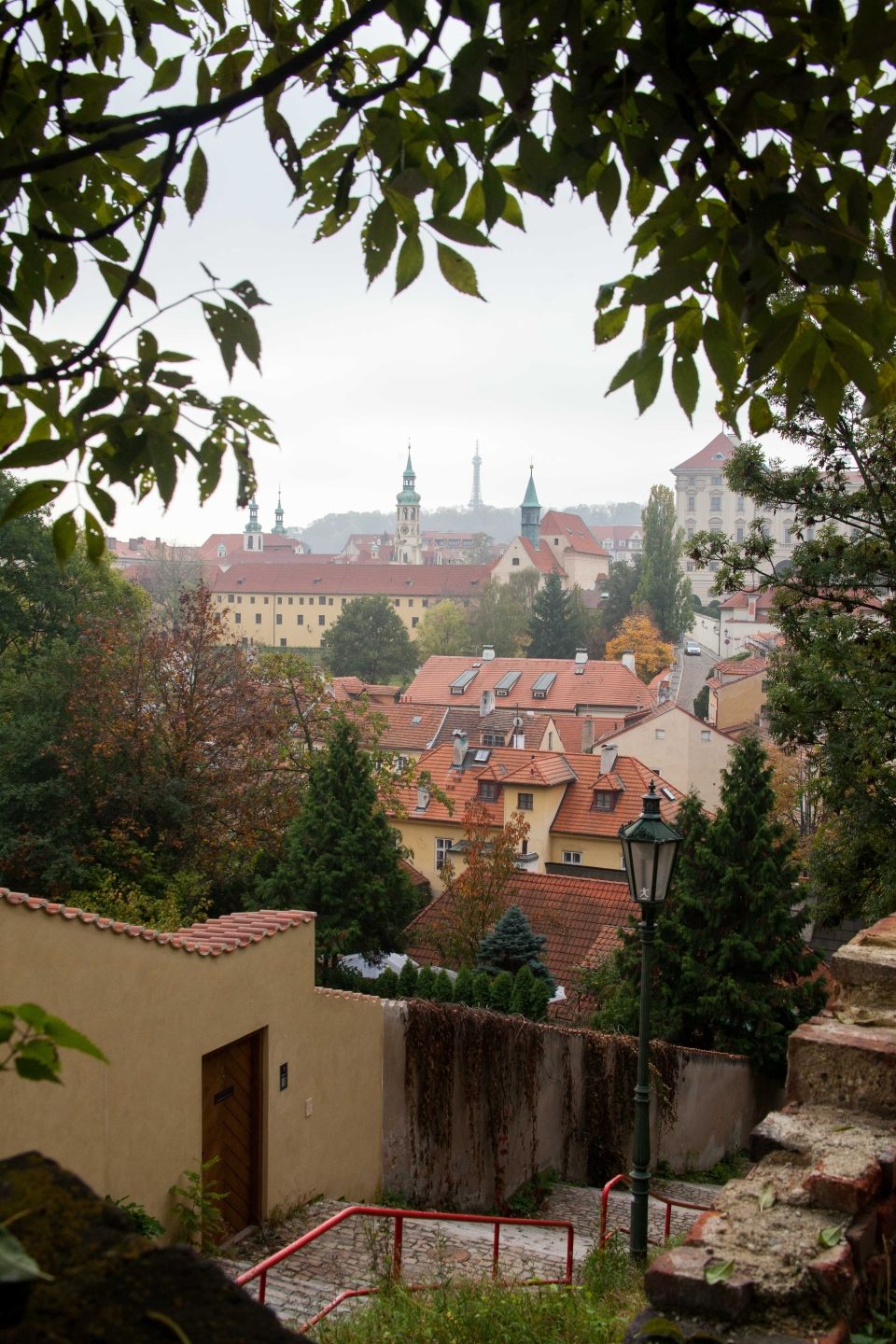Photo for blog post Exploring Prague's Hidden Gems: Novy Svet