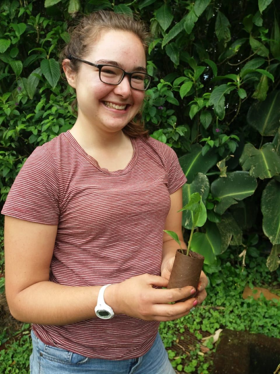 Photo for blog post Creation of an organic garden at the Monteverde Friends School