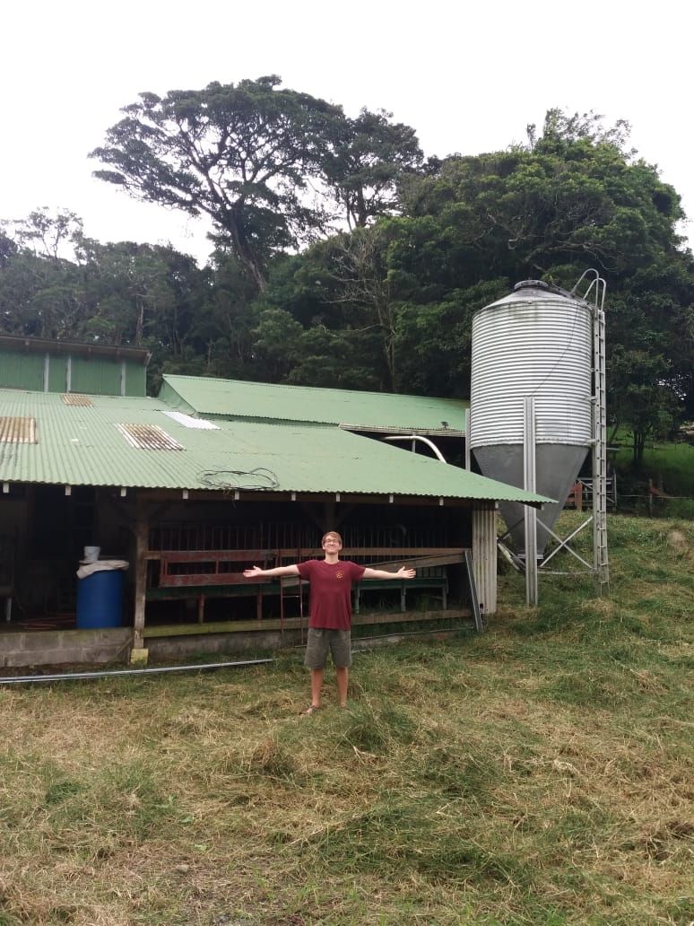 Photo for blog post Sustainable waste management for manure in a Monteverde dairy farm