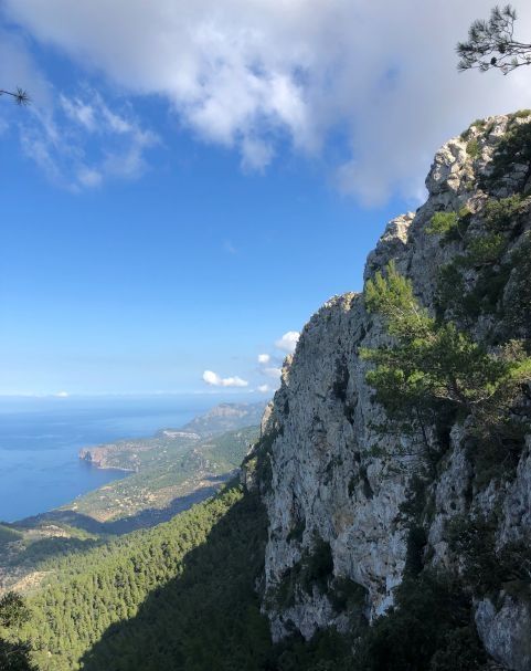 Photo for blog post Hiking in Mallorca: It's SpecTREKular