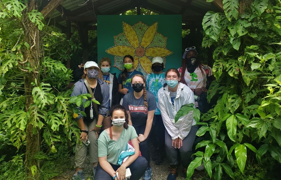 Photo for blog post Monteverde - Welcome to the Jungle!