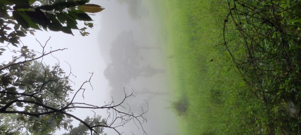 Photo for blog post Exploring Costa Rica's Cloud Forest