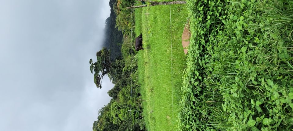 Photo for blog post Exploring Costa Rica's Cloud Forest