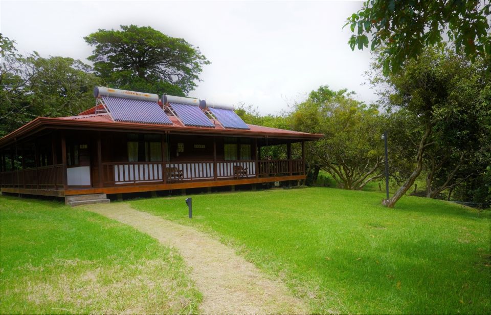Photo for blog post Monteverde - Welcome to the Jungle!