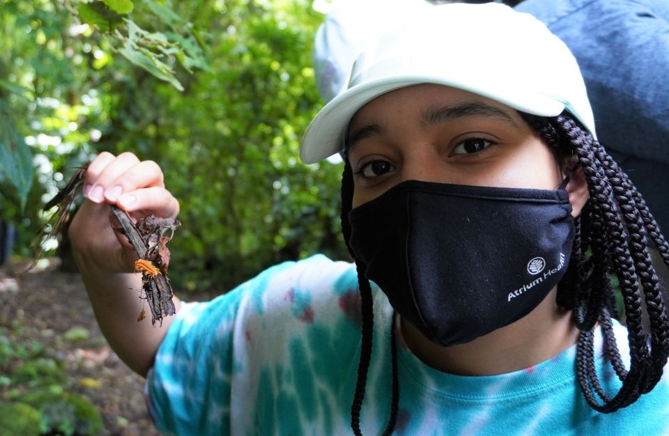 Photo for blog post Monteverde - Welcome to the Jungle!