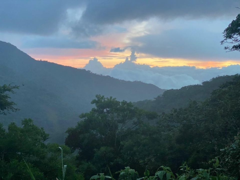 Photo for blog post Exploring Costa Rica's Cloud Forest