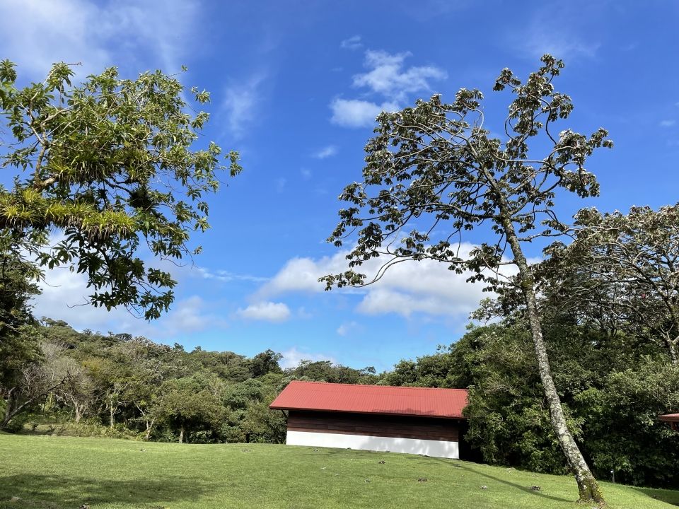 Photo for blog post On our way to make a change: Arriving in Monteverde's Cloud Forest 