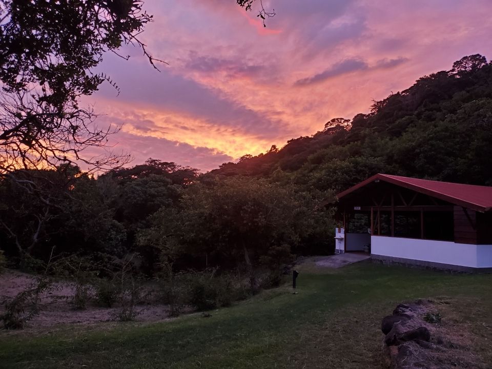Photo for blog post Bienvenidos a Monteverde!