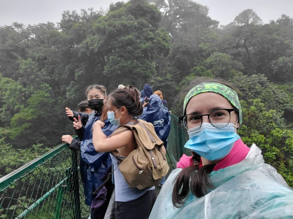 Photo for blog post Zipping Away: An Exploration of Costa Rica's Canopy