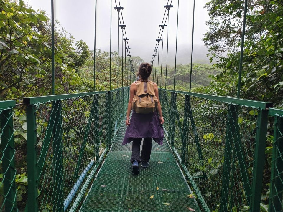 Photo for blog post Zipping Away: An Exploration of Costa Rica's Canopy