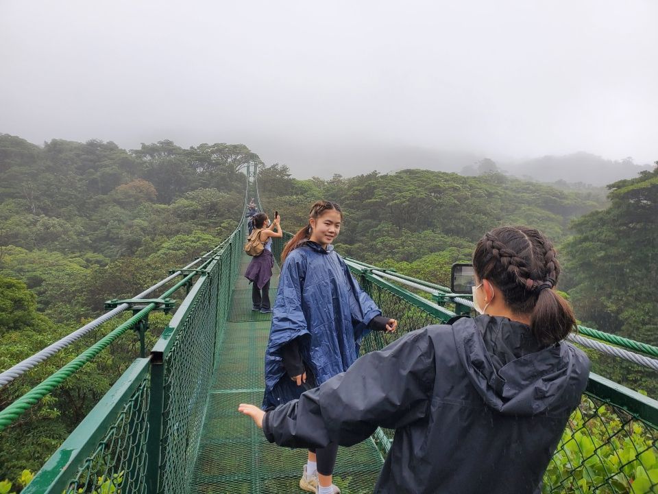 Photo for blog post Zipping Away: An Exploration of Costa Rica's Canopy