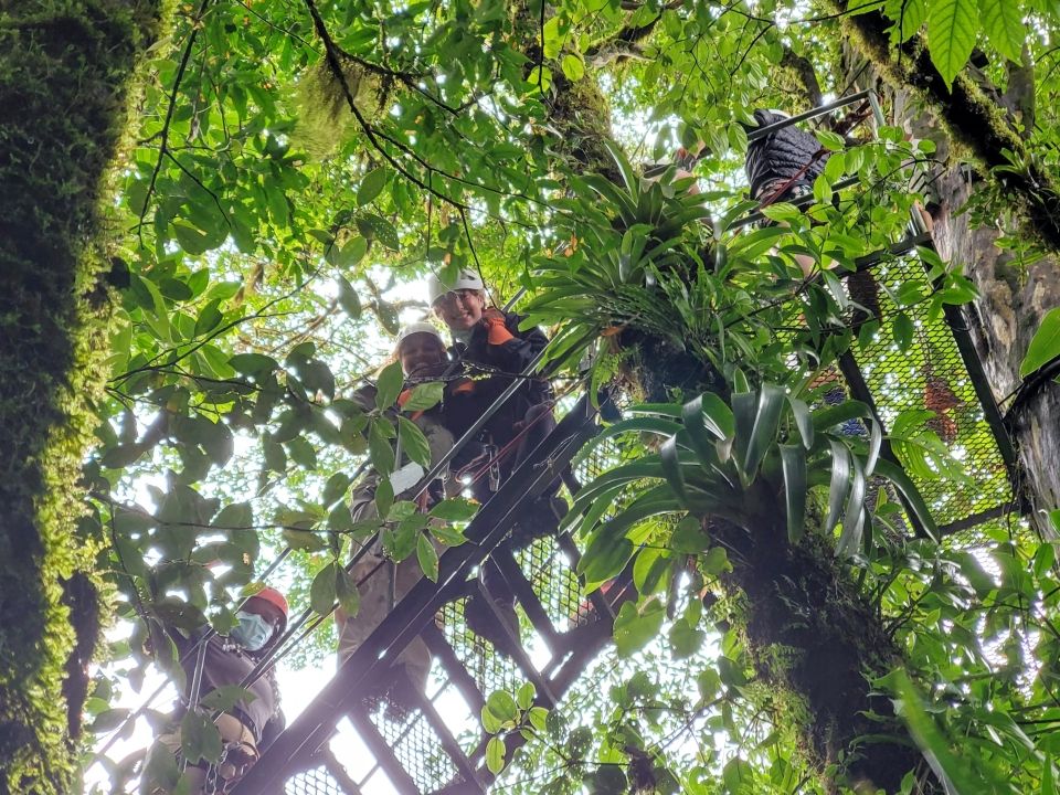 Photo for blog post Zipping Away: An Exploration of Costa Rica's Canopy