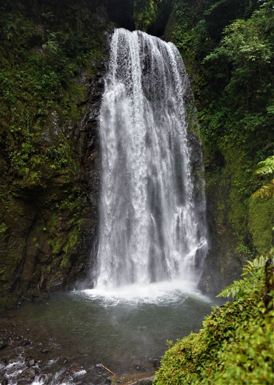 Photo for blog post Waterfalls & Ziplines in Monteverde!