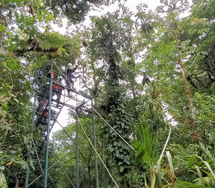 Photo for blog post Zipping Away: An Exploration of Costa Rica's Canopy