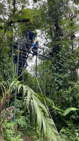 Photo for blog post Weekend Trip: Guacimal Hot Springs and Selvatura Adventure Park