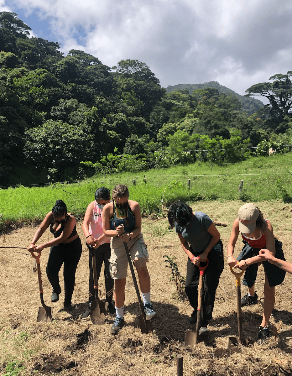 Photo for blog post From Farms to the Cloud Forest