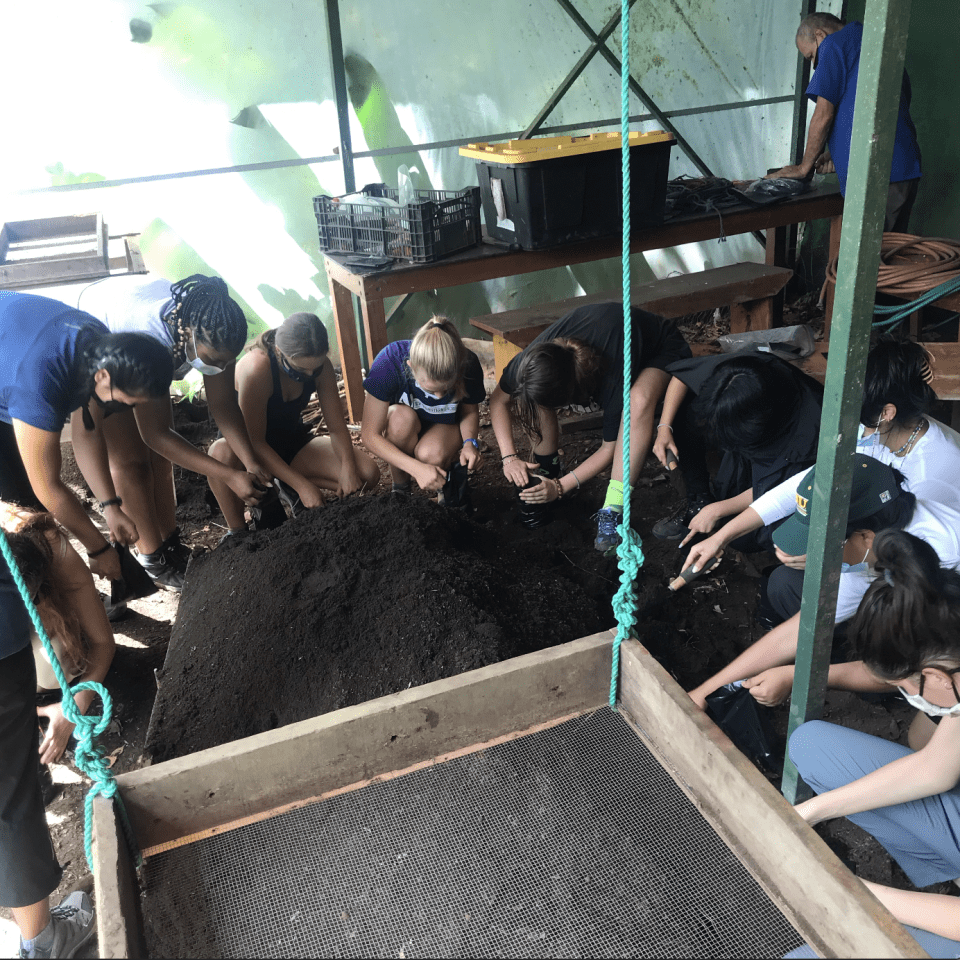 Photo for blog post Reforesting in Monteverde 