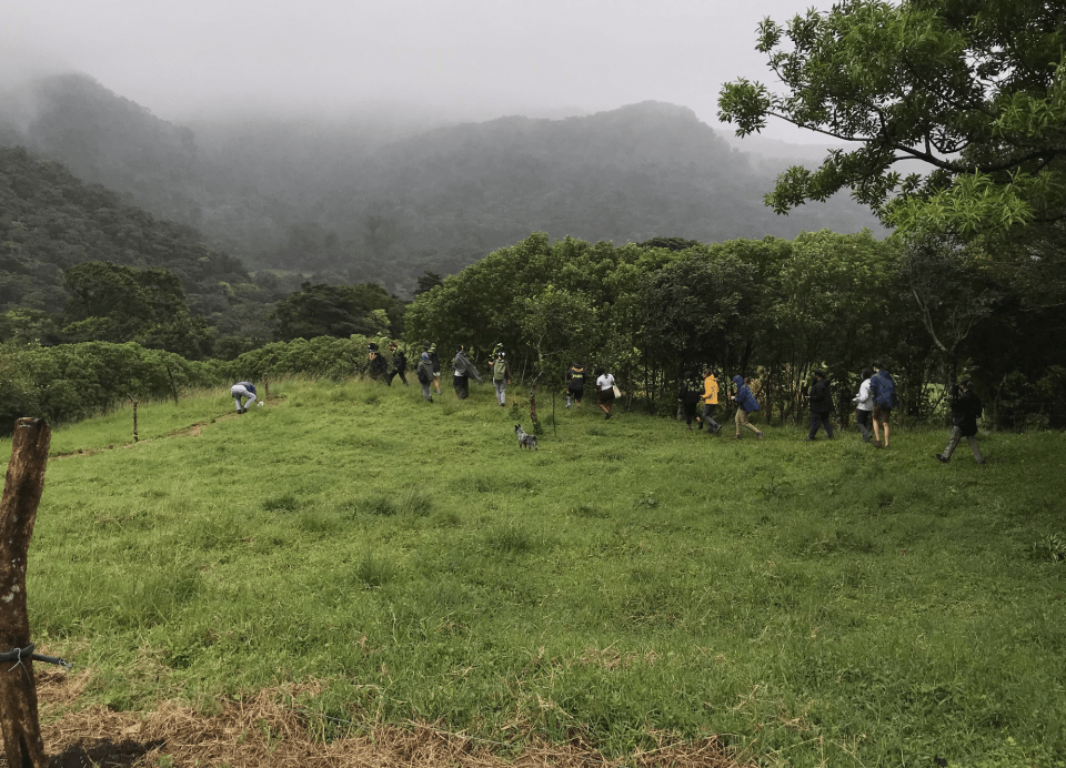 Photo for blog post Reforesting in Monteverde 